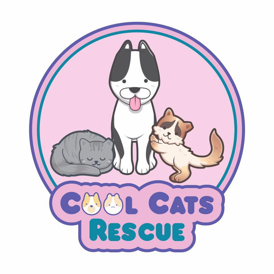 Cool Cats Rescue, Fountain Hills, Arizona